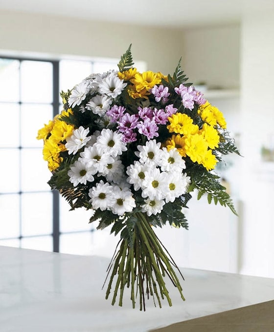 Ramo de margaritas Noruega