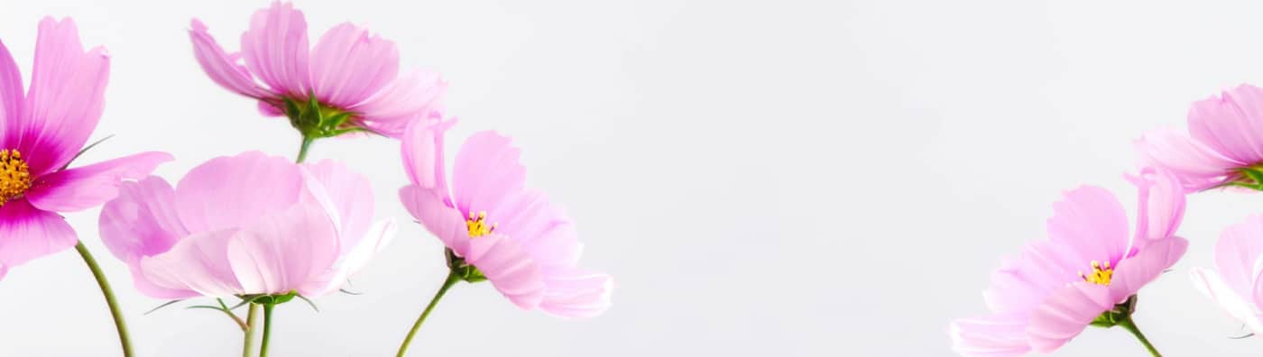 Envíos Urgentes de Flores